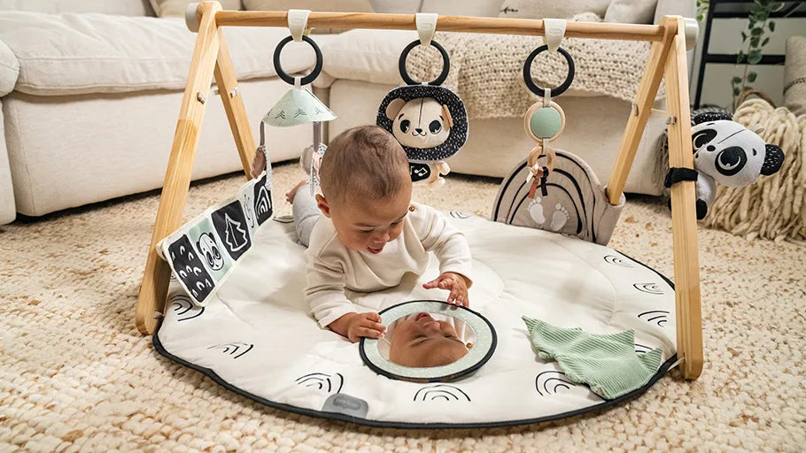 Luxe Developmental Gymini®