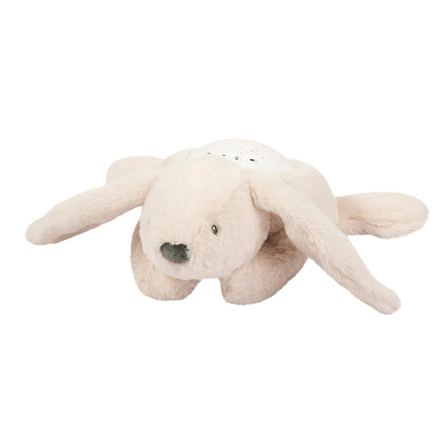 Luce proiettore e suoni peluche