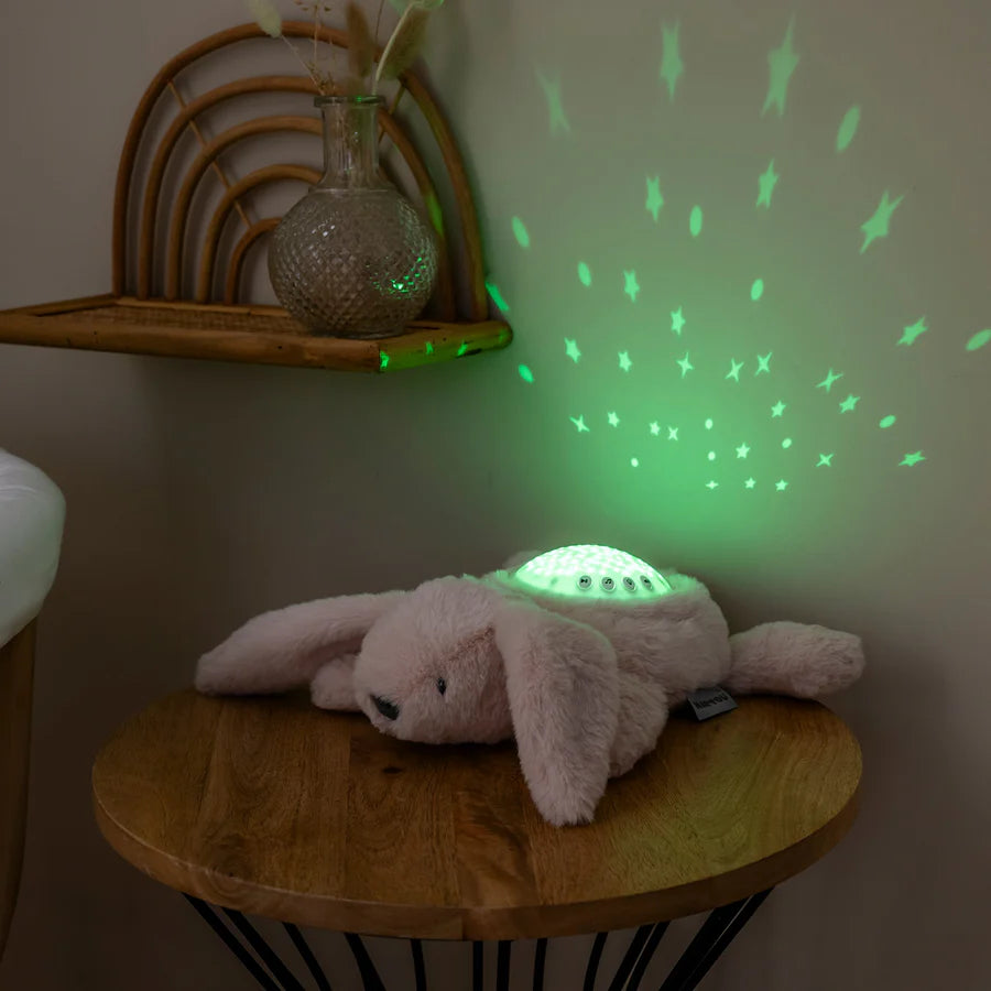Luce proiettore e suoni peluche
