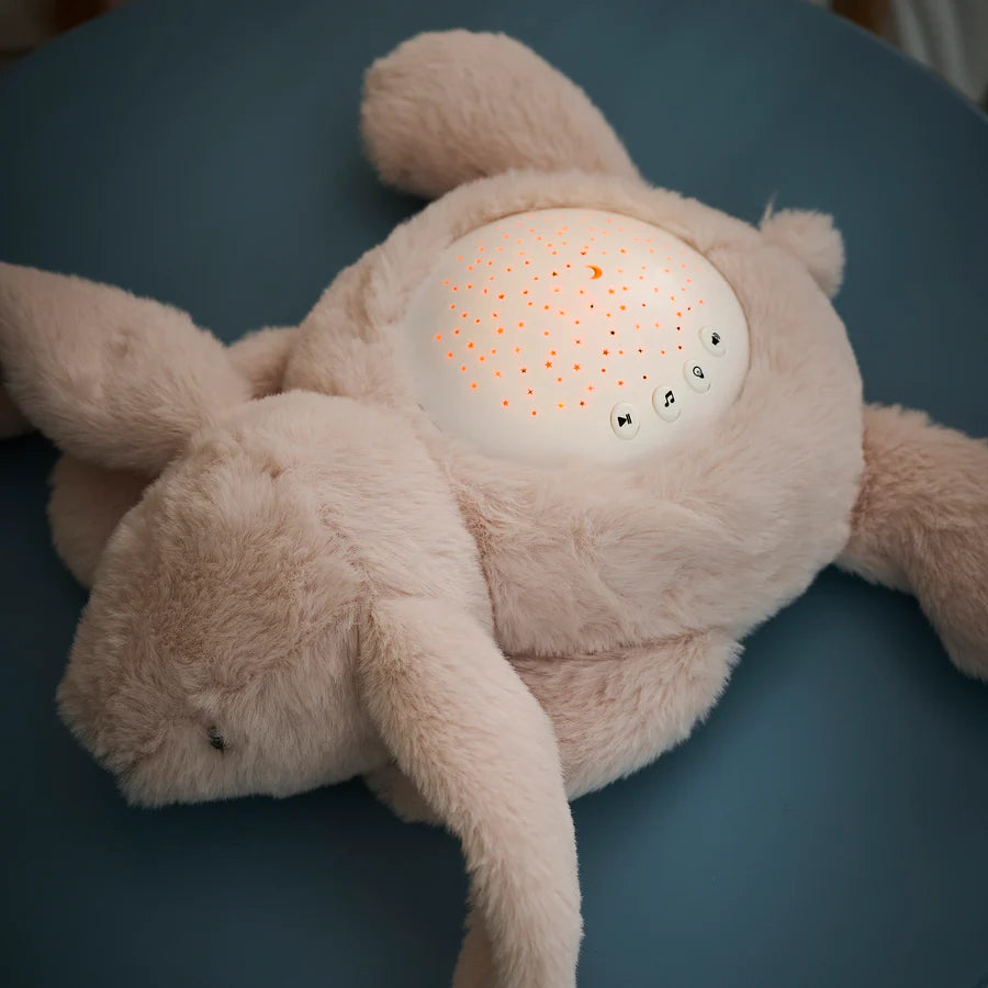 Luce proiettore e suoni peluche