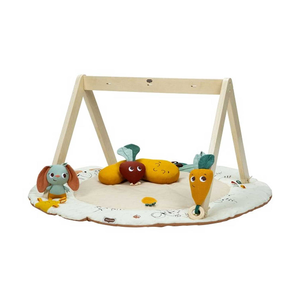 Palestrina Luxe Gymini: Garden Of Adventures